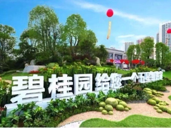 碧桂園集團自動化項目